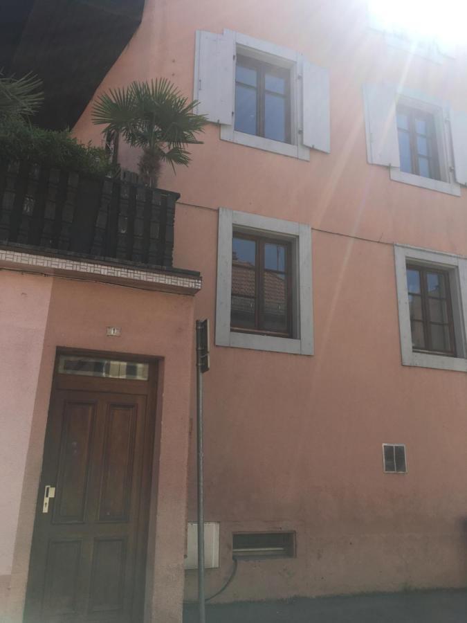 Le Gite 7 - Les Chateaux D'Ottrott Sélestat Buitenkant foto